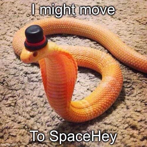 dapper snek | I might move; To SpaceHey | image tagged in dapper snek | made w/ Imgflip meme maker