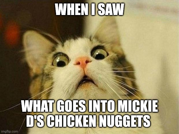 I'm never eating chicken nuggets again | WHEN I SAW; WHAT GOES INTO MICKIE D'S CHICKEN NUGGETS | image tagged in memes,scared cat | made w/ Imgflip meme maker