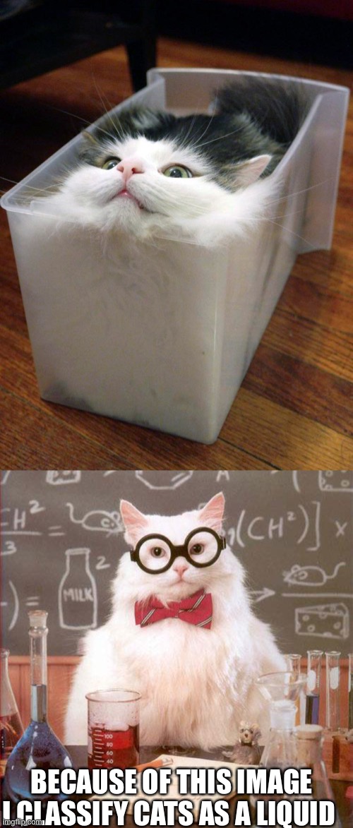 BECAUSE OF THIS IMAGE I CLASSIFY CATS AS A LIQUID | image tagged in liquid cat,science cat | made w/ Imgflip meme maker