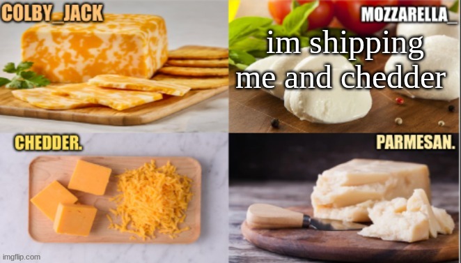 lets ship | im shipping me and chedder | image tagged in cheese | made w/ Imgflip meme maker