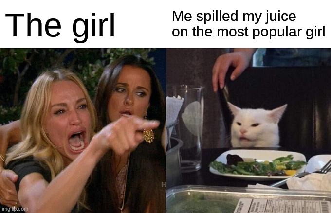 Woman Yelling At Cat | The girl; Me spilled my juice on the most popular girl | image tagged in memes,woman yelling at cat | made w/ Imgflip meme maker