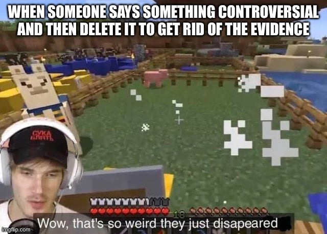 Wow that's so weird they just disappeared | WHEN SOMEONE SAYS SOMETHING CONTROVERSIAL AND THEN DELETE IT TO GET RID OF THE EVIDENCE | image tagged in wow that's so weird they just disappeared | made w/ Imgflip meme maker