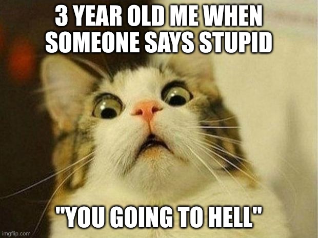 Scared Cat | 3 YEAR OLD ME WHEN SOMEONE SAYS STUPID; "YOU GOING TO HELL" | image tagged in memes,scared cat | made w/ Imgflip meme maker