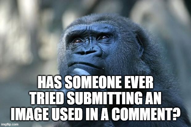 Image Comments | HAS SOMEONE EVER TRIED SUBMITTING AN IMAGE USED IN A COMMENT? | image tagged in deep thoughts,comments,imgflip,images | made w/ Imgflip meme maker