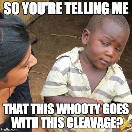 Third World Skeptical Kid | SO YOU'RE TELLING ME THAT THIS WHOOTY GOES WITH THIS CLEAVAGE? | image tagged in memes,third world skeptical kid | made w/ Imgflip meme maker