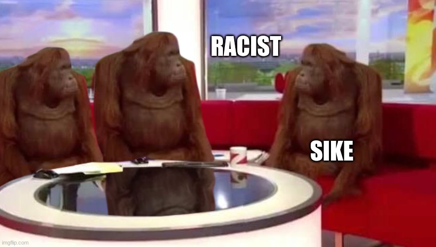 where monkey | RACIST; SIKE | image tagged in where monkey | made w/ Imgflip meme maker