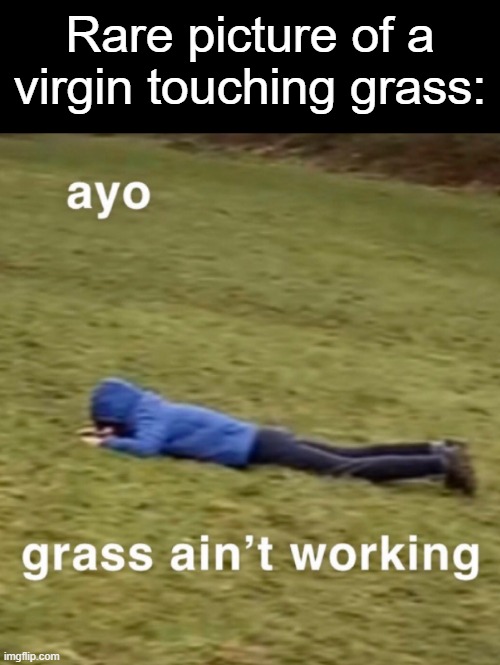 Touching Grass | Rare picture of a virgin touching grass: | image tagged in ayo grass ain't working,memes,grass,touch grass | made w/ Imgflip meme maker