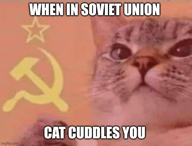 Communist cat | WHEN IN SOVIET UNION; CAT CUDDLES YOU | image tagged in communist cat | made w/ Imgflip meme maker
