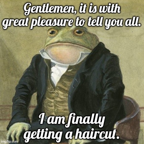 Gentlemen, it is with great pleasure to inform you that | Gentlemen, it is with great pleasure to tell you all. I am finally getting a haircut. | image tagged in gentlemen it is with great pleasure to inform you that | made w/ Imgflip meme maker