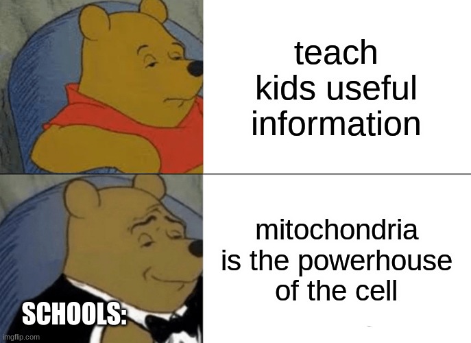 y tho | teach kids useful information; mitochondria is the powerhouse of the cell; SCHOOLS: | image tagged in memes,tuxedo winnie the pooh,schools,why are you reading the tags,siuuuu | made w/ Imgflip meme maker