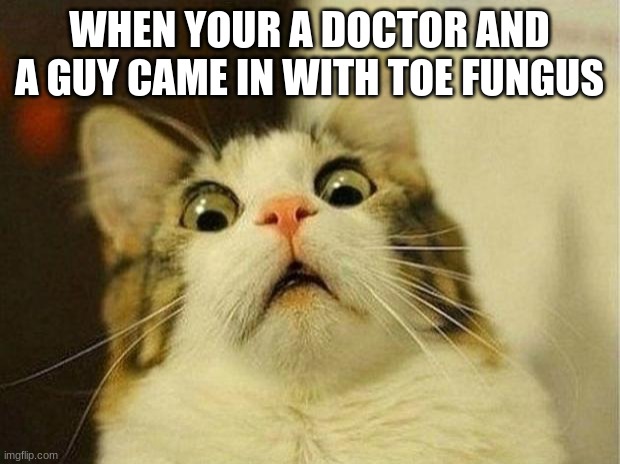 Scared Cat | WHEN YOUR A DOCTOR AND A GUY CAME IN WITH TOE FUNGUS | image tagged in memes,scared cat | made w/ Imgflip meme maker