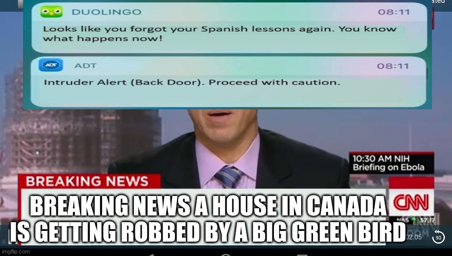 ohio bird | BREAKING NEWS A HOUSE IN CANADA IS GETTING ROBBED BY A BIG GREEN BIRD | image tagged in cnn breaking news template | made w/ Imgflip meme maker