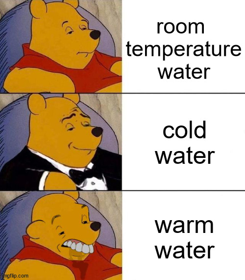 e | room 
temperature
water; cold water; warm water | image tagged in best better blurst,hot water,water,memes,winnie the pooh | made w/ Imgflip meme maker
