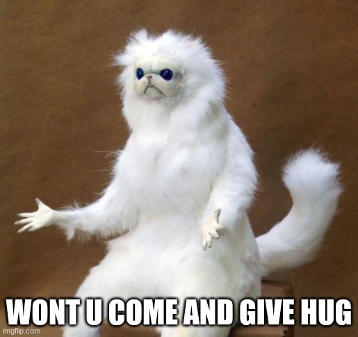 (don't hug him) | WONT U COME AND GIVE HUG | image tagged in persian white monkey | made w/ Imgflip meme maker