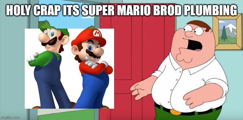 Holy crap Lois its x | HOLY CRAP ITS SUPER MARIO BROD PLUMBING | image tagged in holy crap lois its x | made w/ Imgflip meme maker