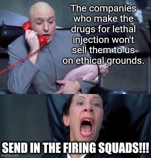 Ay,  oh, way to go Idaho | The companies who make the drugs for lethal injection won't sell them to us on ethical grounds. SEND IN THE FIRING SQUADS!!! | image tagged in dr evil and frau | made w/ Imgflip meme maker