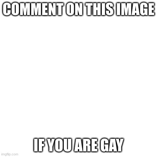ur gay | COMMENT ON THIS IMAGE; IF YOU ARE GAY | image tagged in memes,blank transparent square,ha gay | made w/ Imgflip meme maker