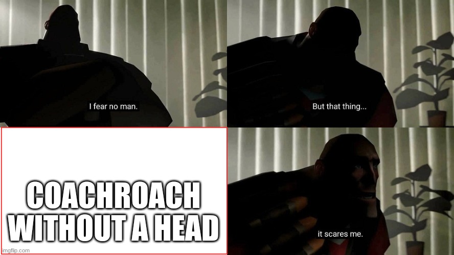 ... | COACHROACH WITHOUT A HEAD | image tagged in tf2 heavy i fear no man | made w/ Imgflip meme maker