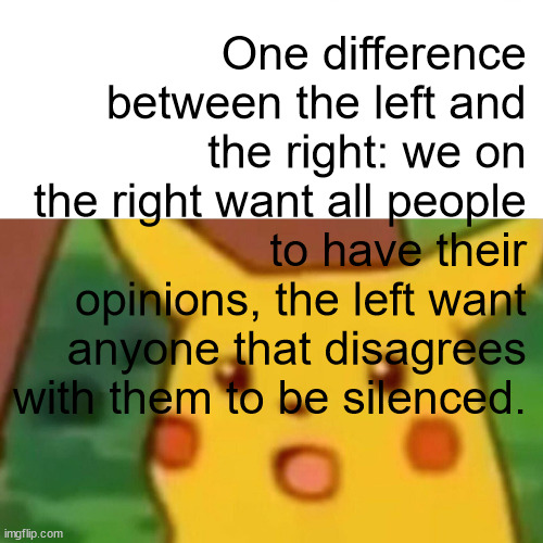 left vs right | One difference between the left and the right: we on the right want all people to have their opinions, the left want anyone that disagrees with them to be silenced. | image tagged in memes,surprised pikachu | made w/ Imgflip meme maker