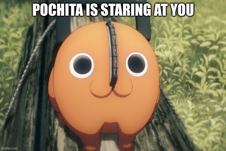 ... | POCHITA IS STARING AT YOU | image tagged in you know what you did | made w/ Imgflip meme maker