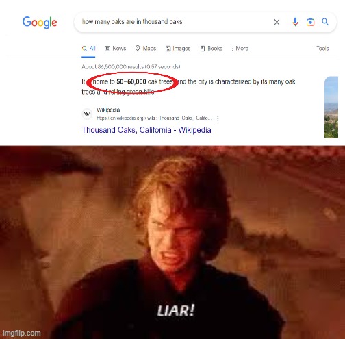there aren't 1000 oaks in thousand oaks | image tagged in anakin liar | made w/ Imgflip meme maker