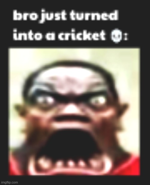 Bro just turned into a cricket | image tagged in funny,goofy ahh,only in ohio,gaming,kittens | made w/ Imgflip meme maker