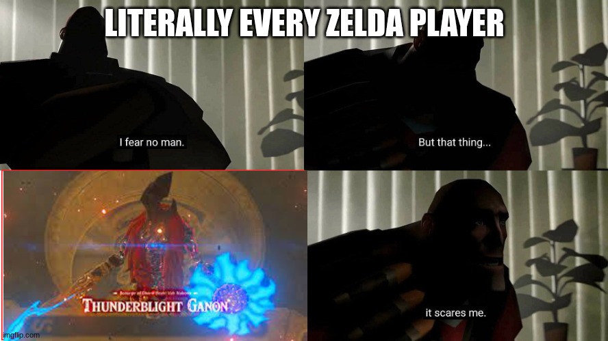 oh no |  LITERALLY EVERY ZELDA PLAYER | image tagged in tf2 heavy i fear no man,meme | made w/ Imgflip meme maker