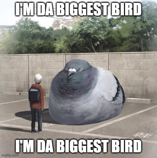 Packin Pablo has some compitition | I'M DA BIGGEST BIRD; I'M DA BIGGEST BIRD | image tagged in beeg birb | made w/ Imgflip meme maker