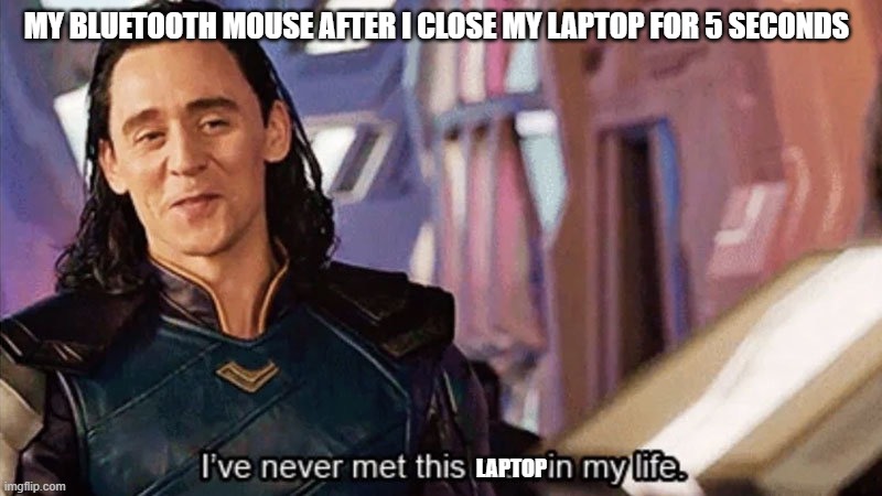This is me | MY BLUETOOTH MOUSE AFTER I CLOSE MY LAPTOP FOR 5 SECONDS; LAPTOP | image tagged in i have never met this man in my life | made w/ Imgflip meme maker