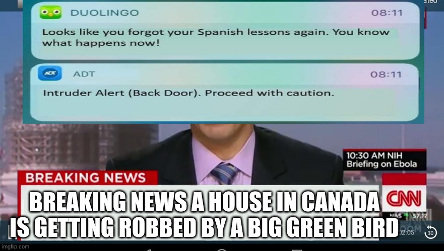duolingo ohio | BREAKING NEWS A HOUSE IN CANADA IS GETTING ROBBED BY A BIG GREEN BIRD | image tagged in cnn breaking news template | made w/ Imgflip meme maker