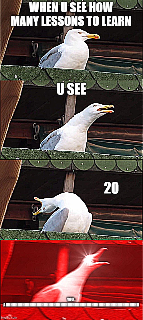 kill me plz | WHEN U SEE HOW MANY LESSONS TO LEARN; U SEE; 20; YOU : AHHHHHHHHHHHHHHHHHHHHHHHHHHHHHHHHHHHHHHHHHHHHHHHHHHHHHHHH | image tagged in memes,inhaling seagull | made w/ Imgflip meme maker