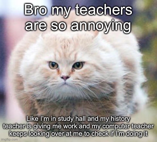 bullet cat | Bro my teachers are so annoying; Like I’m in study hall and my history teacher is giving me work and my computer teacher keeps looking over at me to check if I’m doing it | image tagged in bullet cat | made w/ Imgflip meme maker