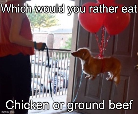 walkin me dog fr | Which would you rather eat; Chicken or ground beef | image tagged in walkin me dog fr | made w/ Imgflip meme maker