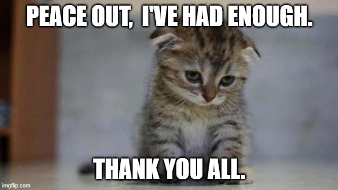 thanks guys. | PEACE OUT,  I'VE HAD ENOUGH. THANK YOU ALL. | image tagged in sad kitten,goodbye | made w/ Imgflip meme maker