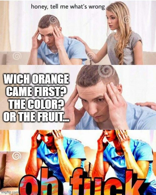 Wich orange came first | WICH ORANGE CAME FIRST? THE COLOR? OR THE FRUIT... | image tagged in honey tell me what's wrong | made w/ Imgflip meme maker