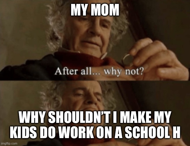 After all.. why not? | MY MOM; WHY SHOULDN’T I MAKE MY KIDS DO WORK ON A SCHOOL HOLIDAY | image tagged in after all why not | made w/ Imgflip meme maker