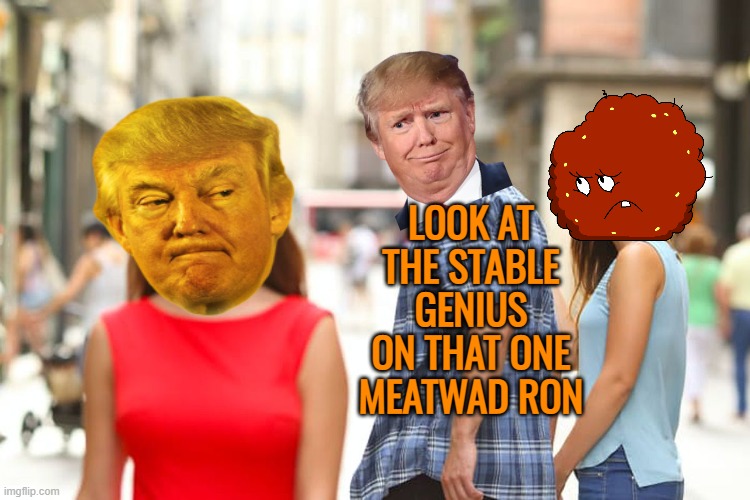 Distracted Boyfriend Meme | LOOK AT THE STABLE GENIUS ON THAT ONE
MEATWAD RON | image tagged in memes,distracted boyfriend | made w/ Imgflip meme maker