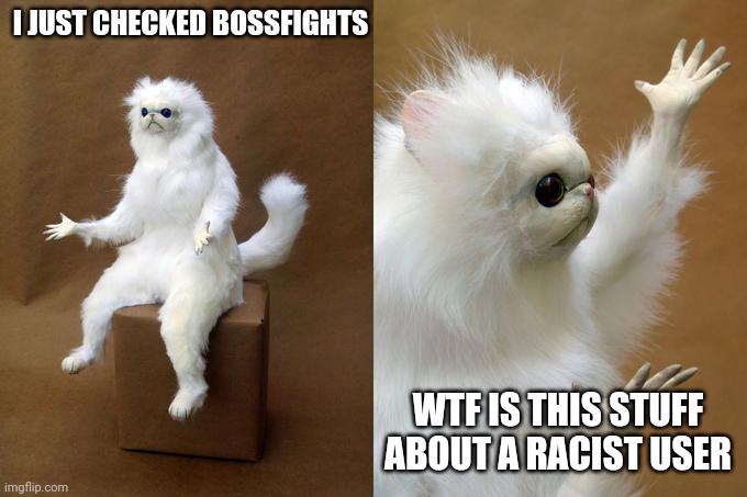 Someone please explain | I JUST CHECKED BOSSFIGHTS; WTF IS THIS STUFF ABOUT A RACIST USER | image tagged in memes,persian cat room guardian | made w/ Imgflip meme maker