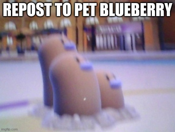 Blueberry my beloved | REPOST TO PET BLUEBERRY | image tagged in blueberry my beloved | made w/ Imgflip meme maker