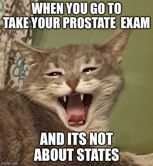 Screaming cat | WHEN YOU GO TO TAKE YOUR PROSTATE  EXAM; AND ITS NOT ABOUT STATES | image tagged in screaming cat | made w/ Imgflip meme maker