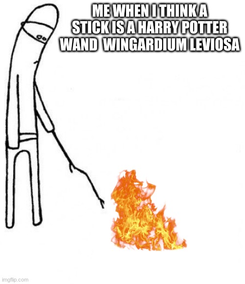 it sucks | ME WHEN I THINK A STICK IS A HARRY POTTER WAND  WINGARDIUM LEVIOSA | image tagged in c'mon do something | made w/ Imgflip meme maker