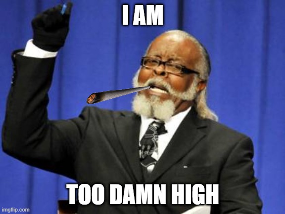 Too Damn High | I AM; TOO DAMN HIGH | image tagged in memes,too damn high | made w/ Imgflip meme maker