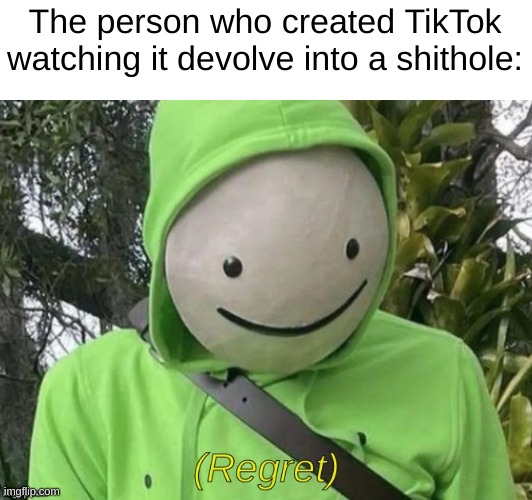 *creative title* |  The person who created TikTok watching it devolve into a shithole: | image tagged in dream regret,dream,regret,dsmp,youtuber,tiktok | made w/ Imgflip meme maker