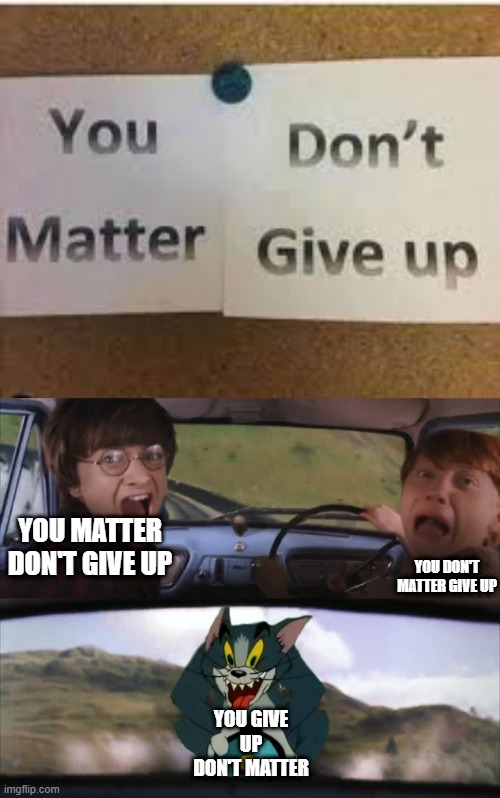 YOU MATTER DON'T GIVE UP; YOU DON'T MATTER GIVE UP; YOU GIVE UP DON'T MATTER | image tagged in tom chasing harry and ron weasly | made w/ Imgflip meme maker