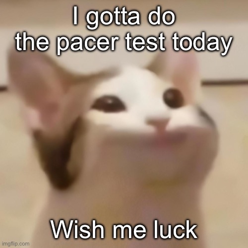 pop cat | I gotta do the pacer test today; Wish me luck | image tagged in pop cat | made w/ Imgflip meme maker