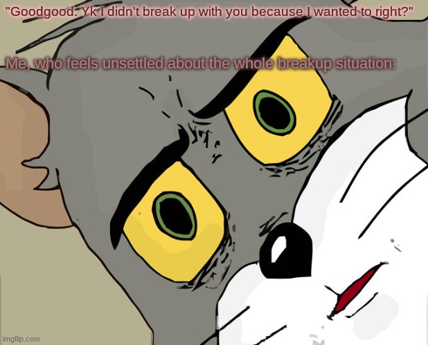 I feel very unsettled about this, should I feel proud that my ex said this? | "Goodgood. Yk I didn't break up with you because I wanted to right?"; Me, who feels unsettled about the whole breakup situation: | image tagged in memes,unsettled tom | made w/ Imgflip meme maker