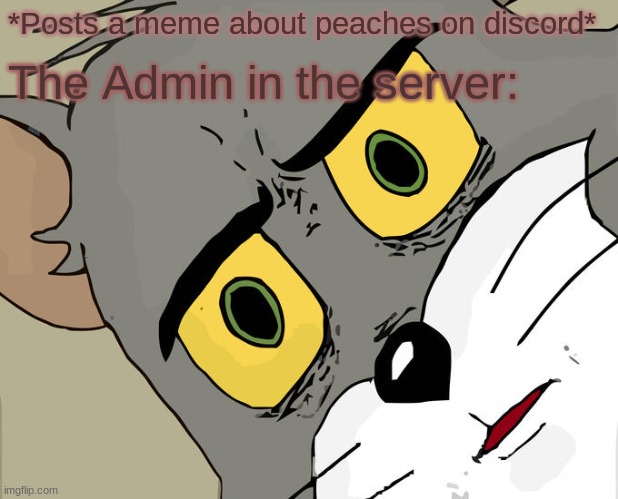 Unsettled Discord Admin in the server | *Posts a meme about peaches on discord*; The Admin in the server: | image tagged in memes,unsettled tom | made w/ Imgflip meme maker