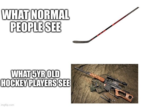 Very. Funny. | WHAT NORMAL PEOPLE SEE; WHAT 5YR OLD HOCKEY PLAYERS SEE | image tagged in memes | made w/ Imgflip meme maker