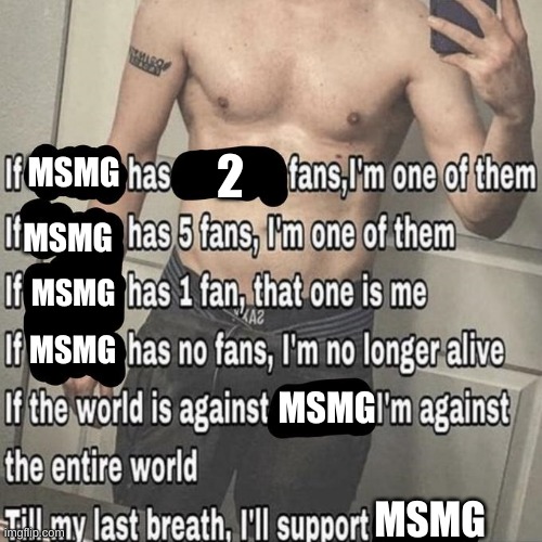 if X has X fans | 2; MSMG; MSMG; MSMG; MSMG; MSMG; MSMG | image tagged in if x has x fans | made w/ Imgflip meme maker