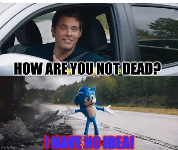 sonic how are you not dead | HOW ARE YOU NOT DEAD? I HAVE NO IDEA! | image tagged in sonic how are you not dead | made w/ Imgflip meme maker